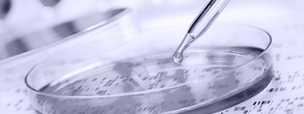 Gesundheitswesen, Life Sciences, Biotech Gesundheitswesen, Life Sciences, Biotech