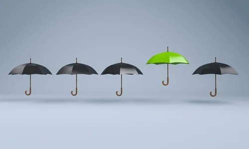 ein grüner Regenschirm und 4 schwarze