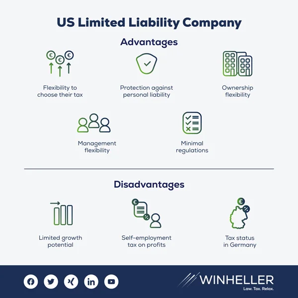 Advantages and Disadvantages of a U.S. LLC