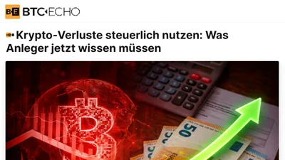 Screenshot des online Artikels