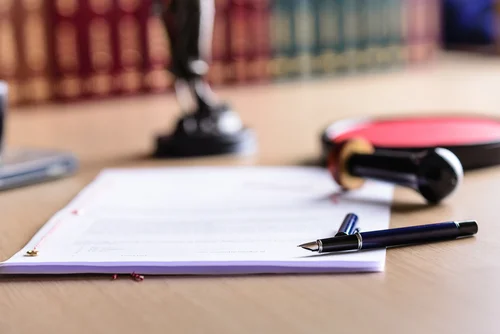 Legal Advisor for Foundation Statutes | Law Firm